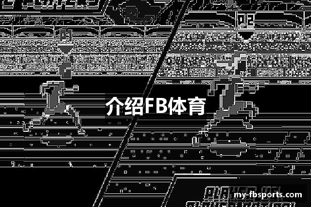 介绍FB体育